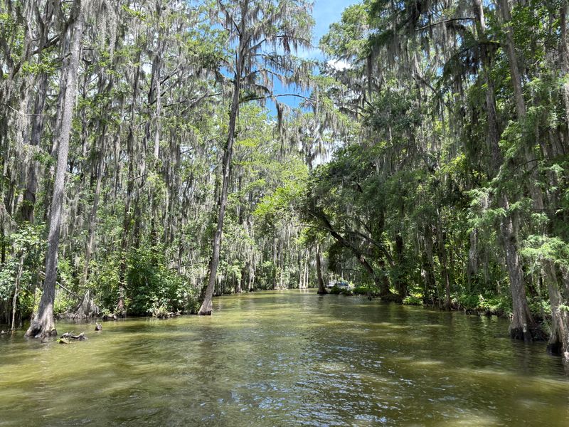 The Enchanting Dora Canal