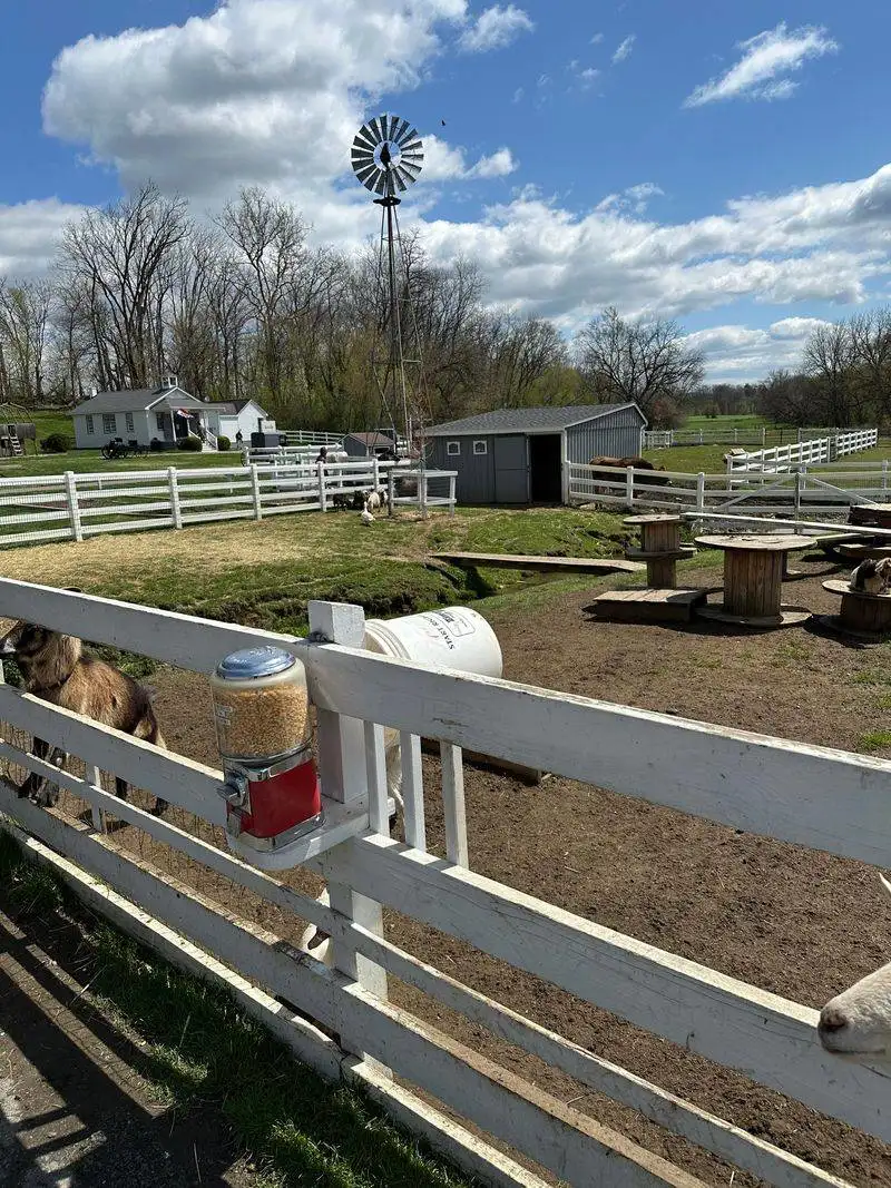 Farm Animals and Everyday Chores