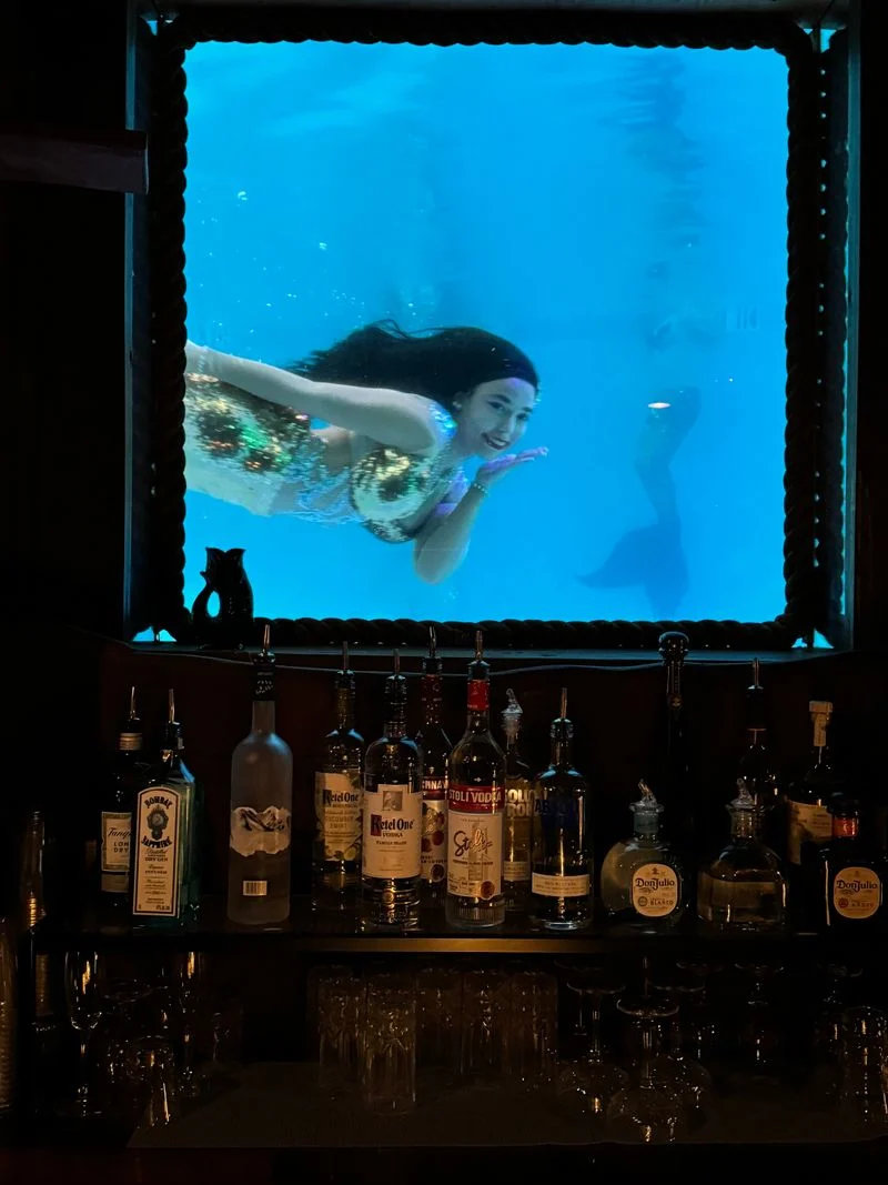 How the mermaid shows work