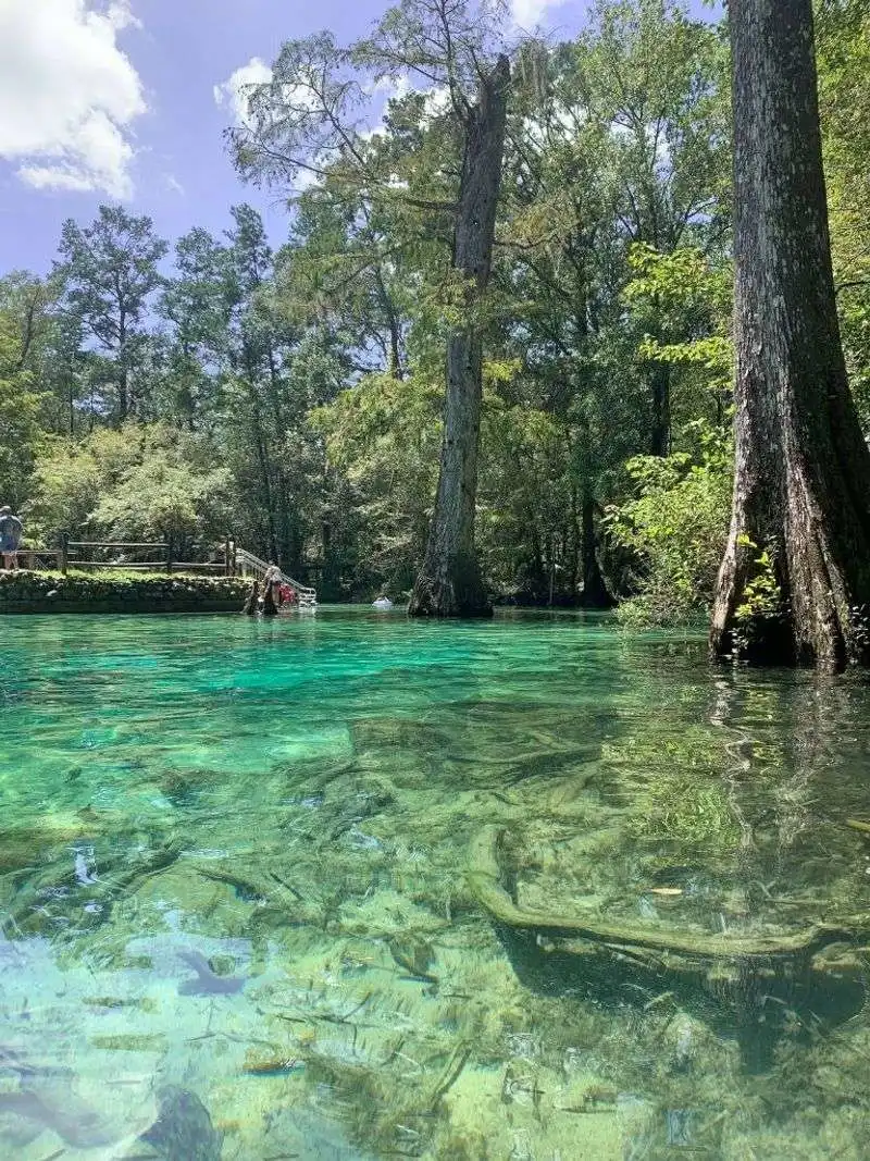 Manatee season and wildlife etiquette