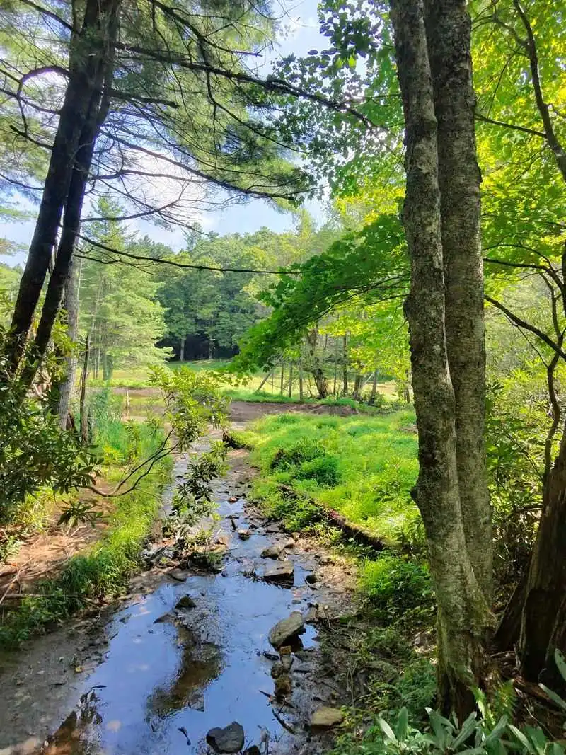 Wildlife etiquette and Leave No Trace