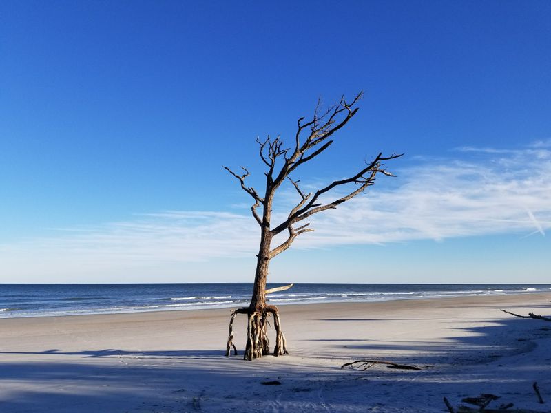 Little Talbot Island State Park Campground &mdash; Jacksonville, Florida