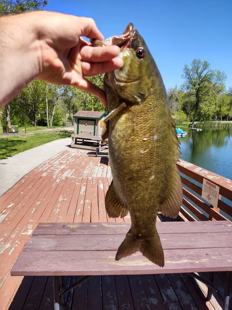 Fishing Chadron Creek