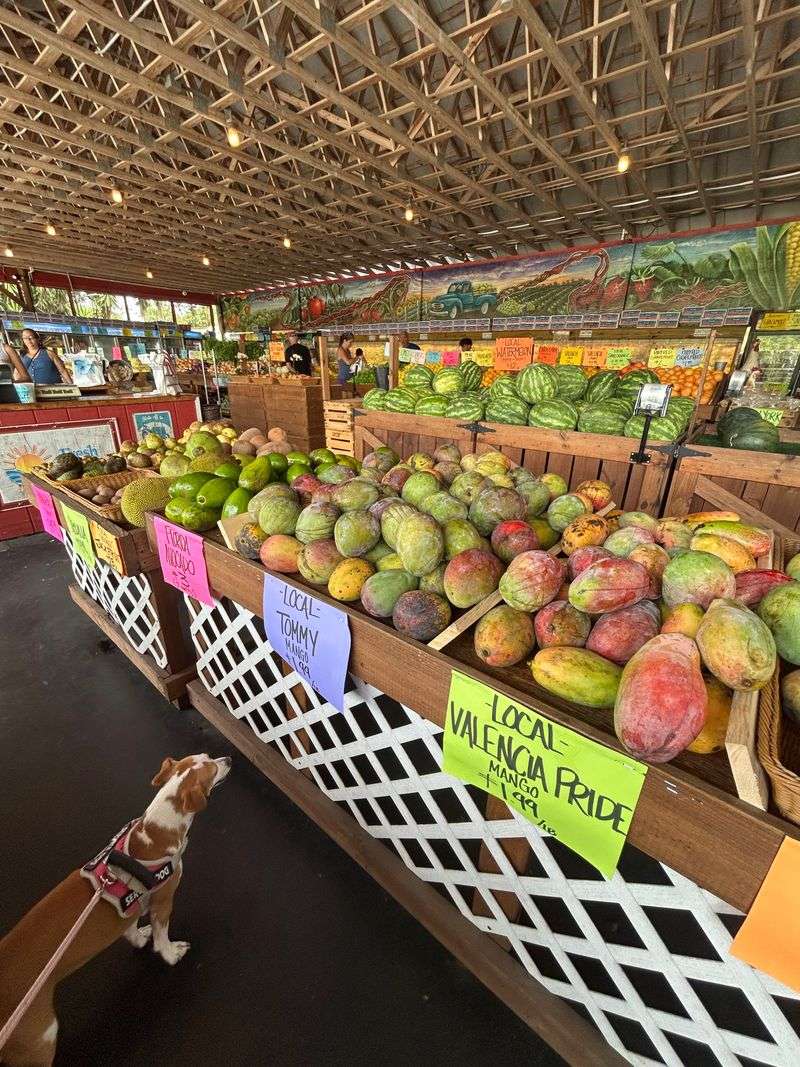 Budget Tips and Smart Shopping