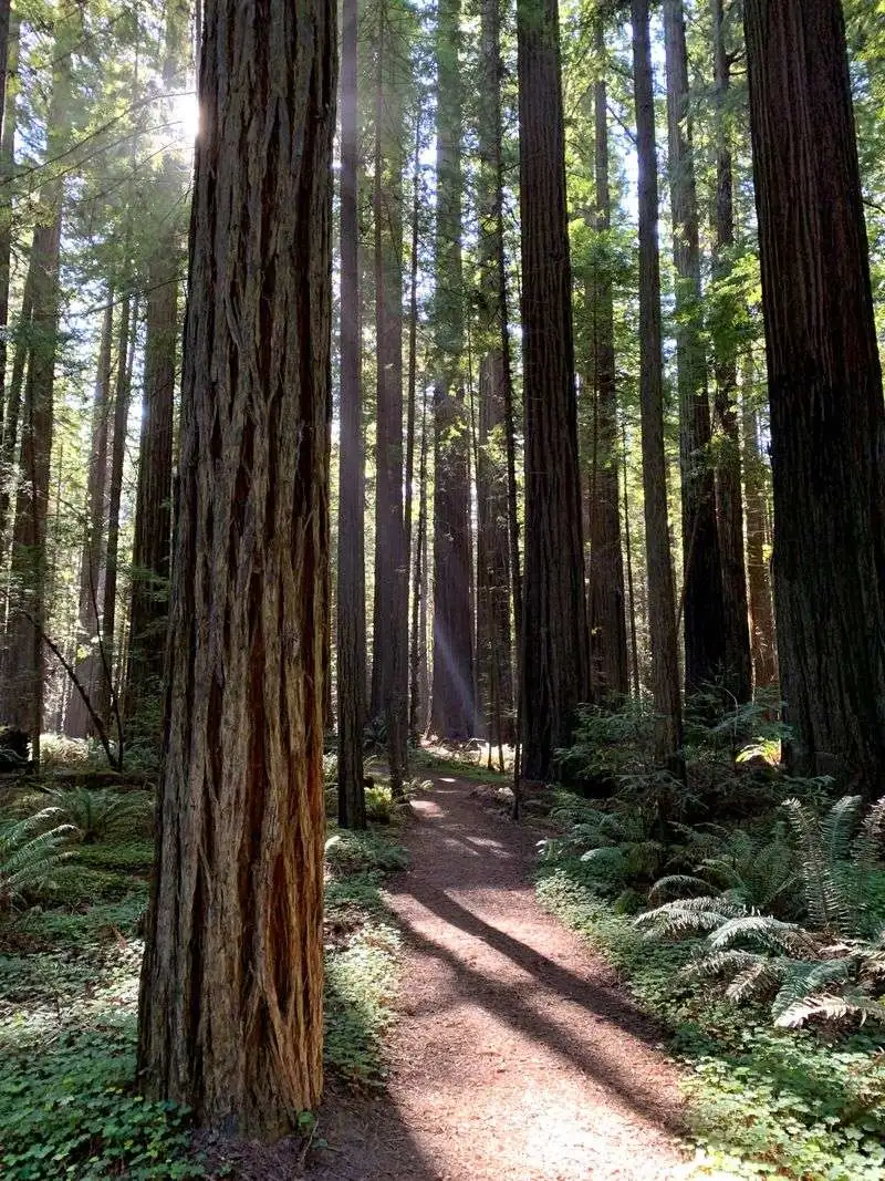 Trail layout and the lollipop loop explained