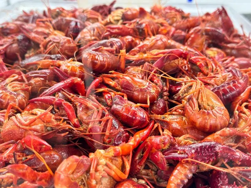 Royal red shrimp 101 at Joe Patti's