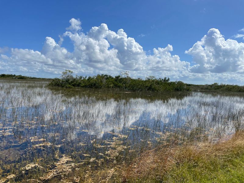 Photography stops and ethical viewing