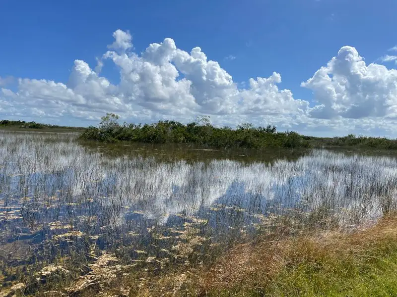 Photography stops and ethical viewing