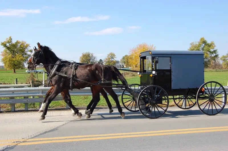 IV. The Influence of Amish and Plain Communities