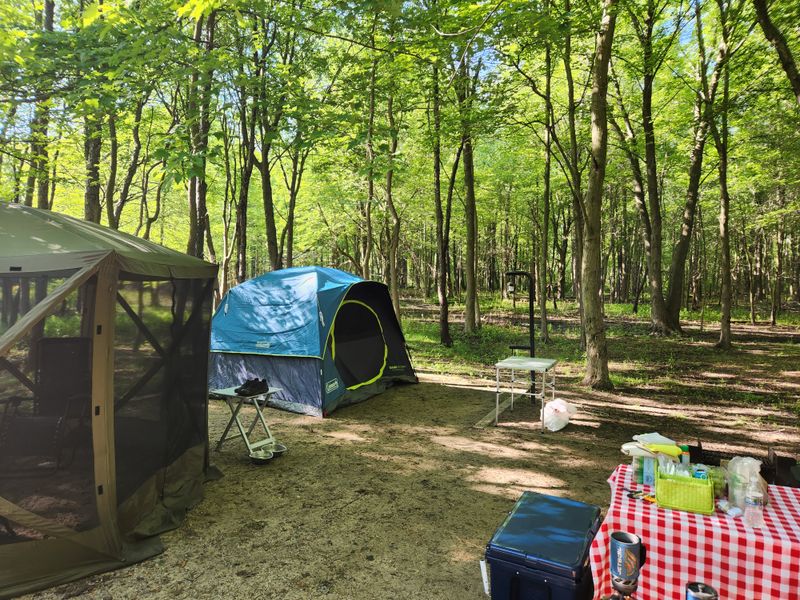 Indiana — Dunewood Campground, Indiana Dunes National Park