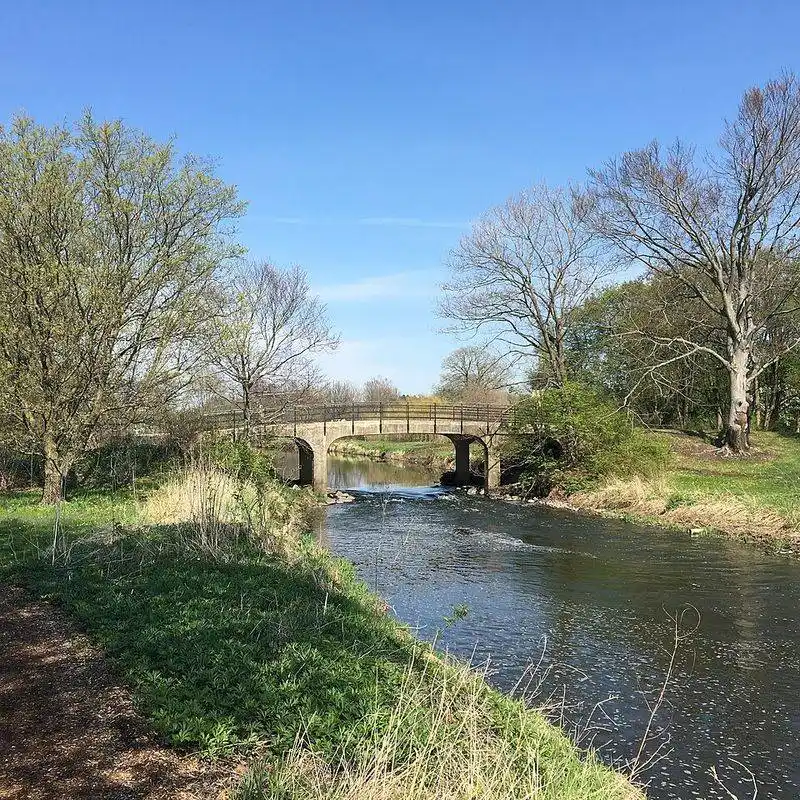Maze Garden Adventure