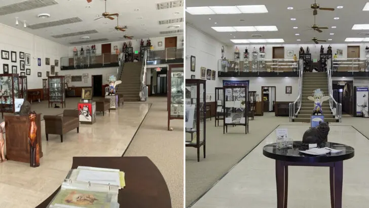 Inside America&rsquo;s only official cat museum, where ancient Egypt meets feline art