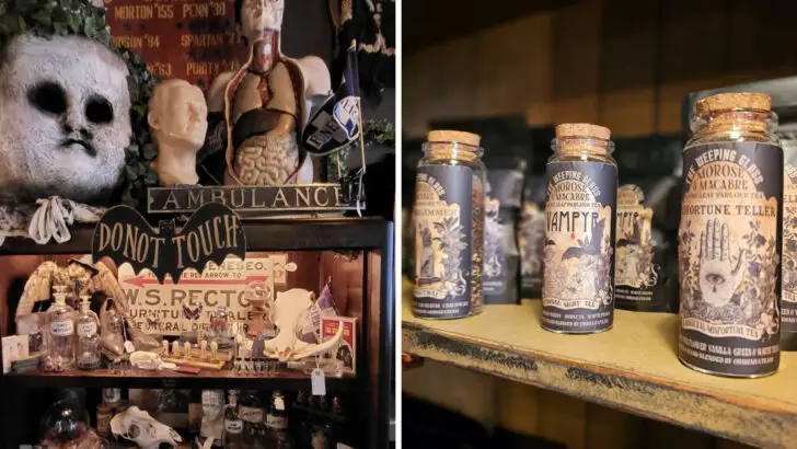 Inside a Pennsylvania shop devoted to Victorian curiosities and old-world charm