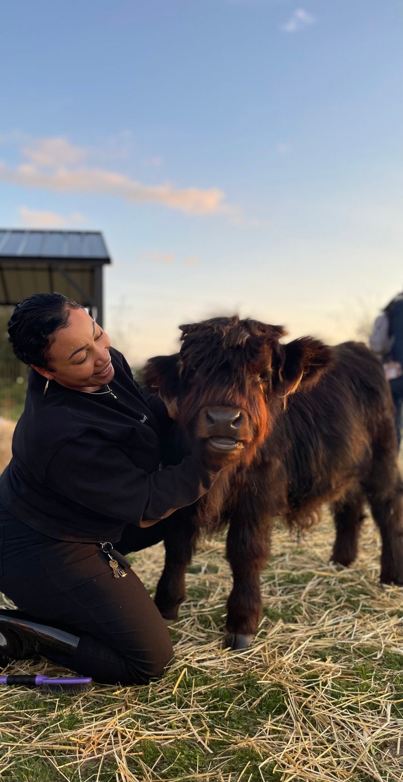 Holiday Events and Activities