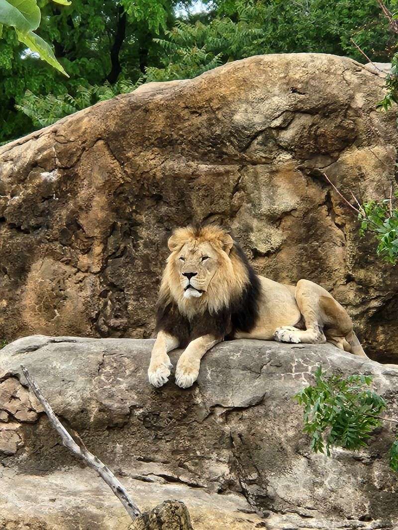 Kansas – Sedgwick County Zoo – Wichita