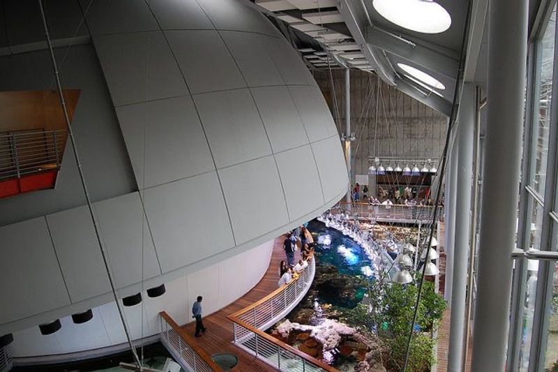 Morrison Planetarium (San Francisco, CA)