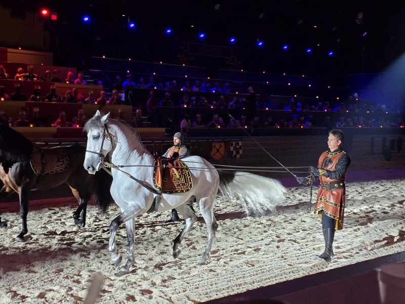 Magnificent horses and expert horsemanship