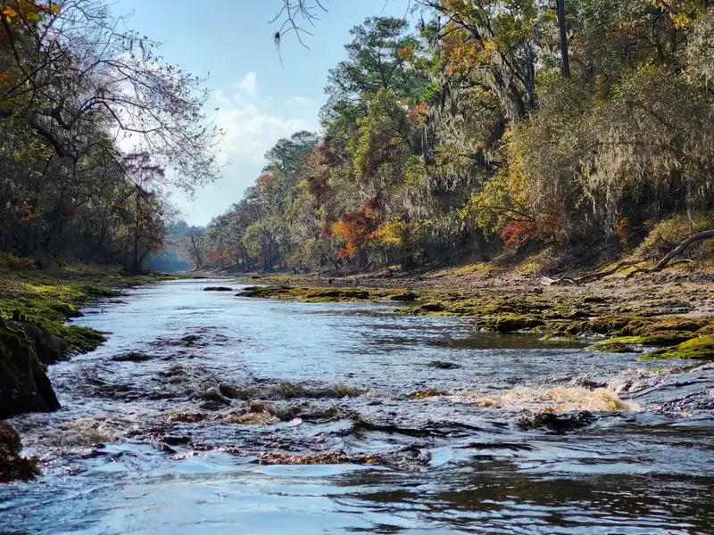 Little Shoals on the Suwannee - White Springs