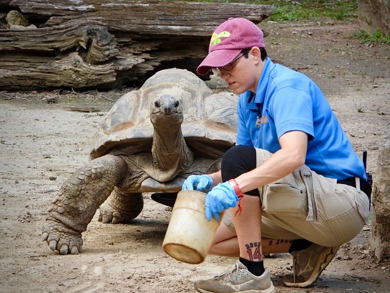 Kentucky – Louisville Zoo – Louisville