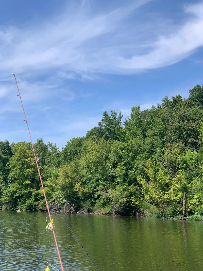 Kentucky - Lake Barkley