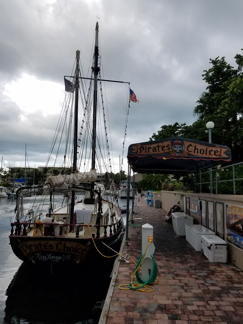 Cruise the African Queen Canal
