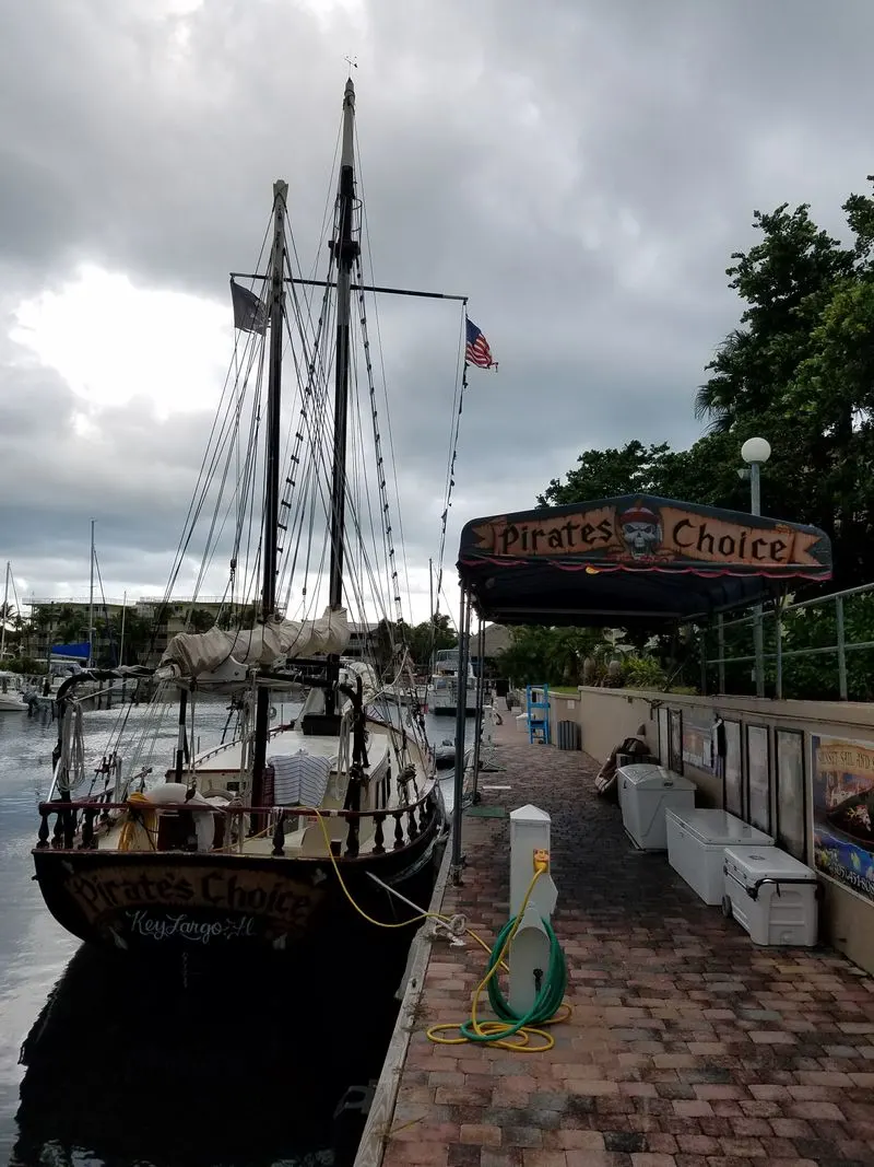 Cruise the African Queen Canal