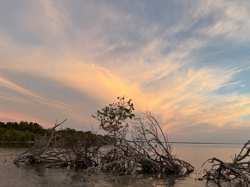 How Weather, Moonlight, and Timing Matter