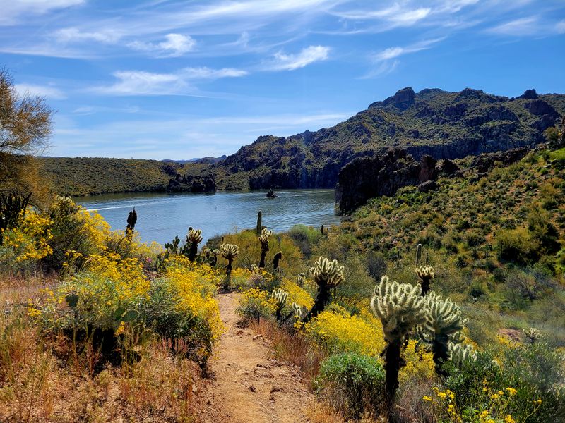 Hiking the Butcher Jones Trail and shoreline