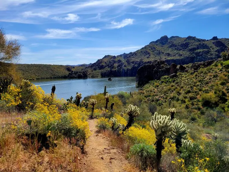 Hiking the Butcher Jones Trail and shoreline
