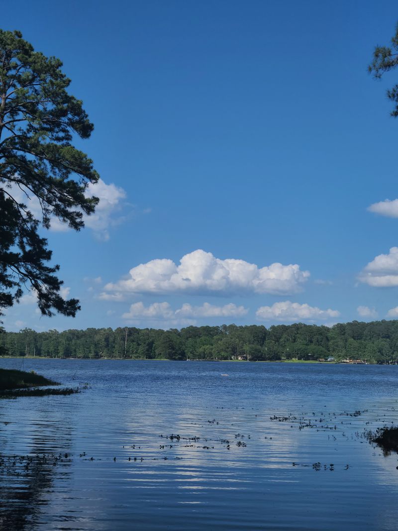 Louisiana - Toledo Bend Reservoir