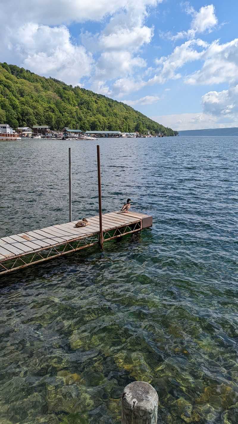 Keuka Lake Waterfront and Depot Park