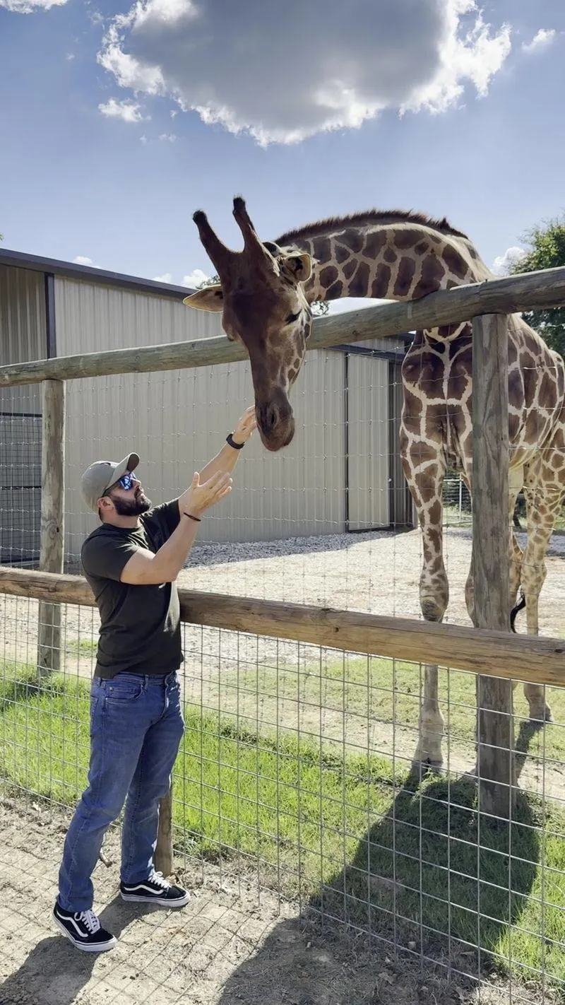 Aviary and Budgie Tips