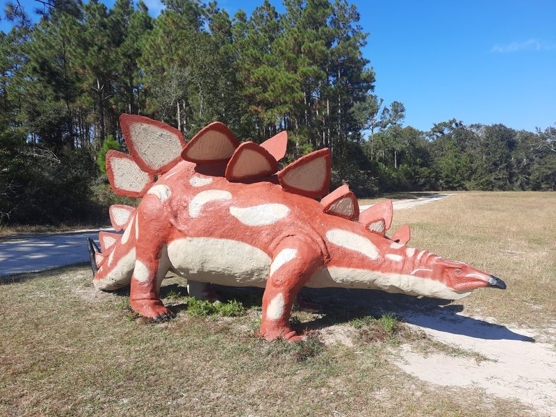 Best times to visit and lighting