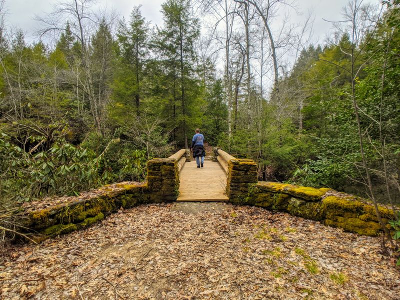 Family Friendly Trails and Play Spaces