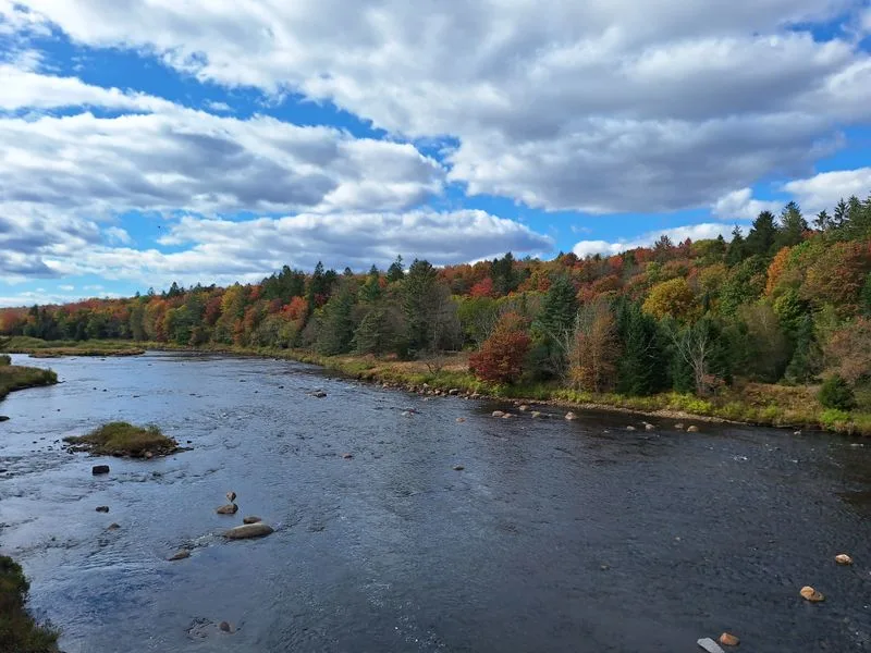 Lakefront Window Seat Strategy