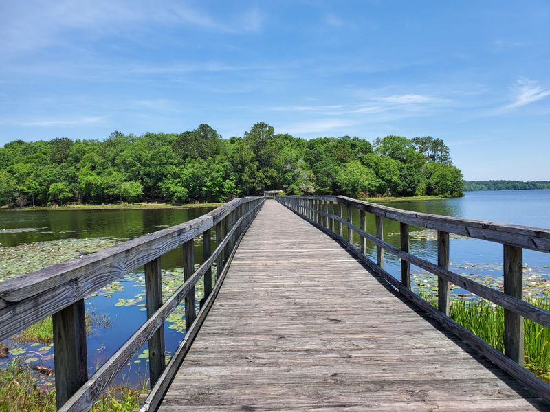 Island Walks and Exploration