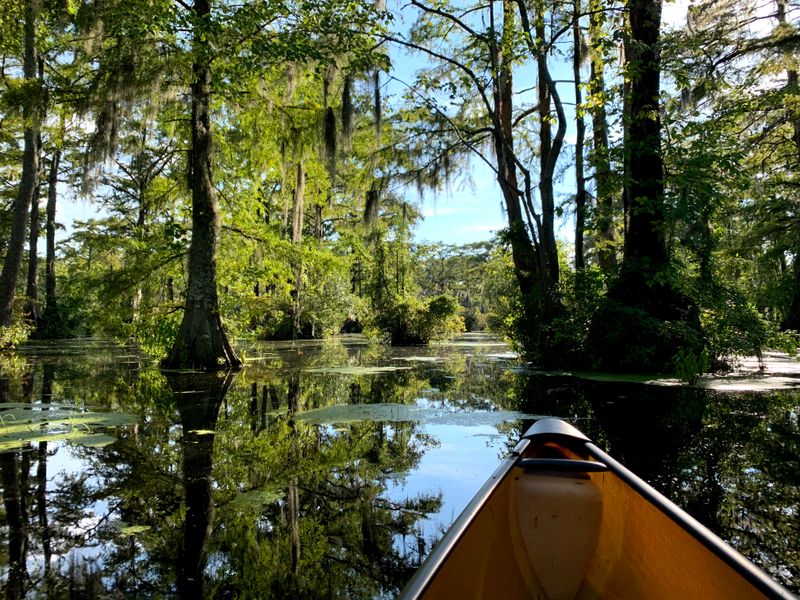 Canoe Rentals and Launch Info