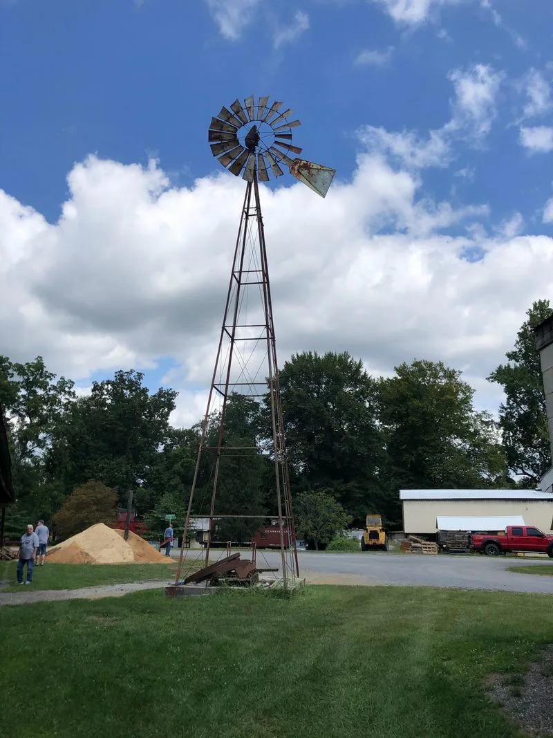 Whispers From Locals