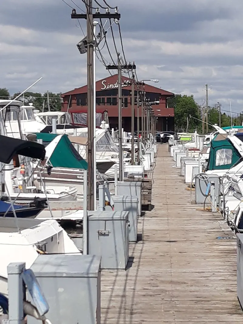 Catch and Cook: Your Fresh Fillets, Three Ways