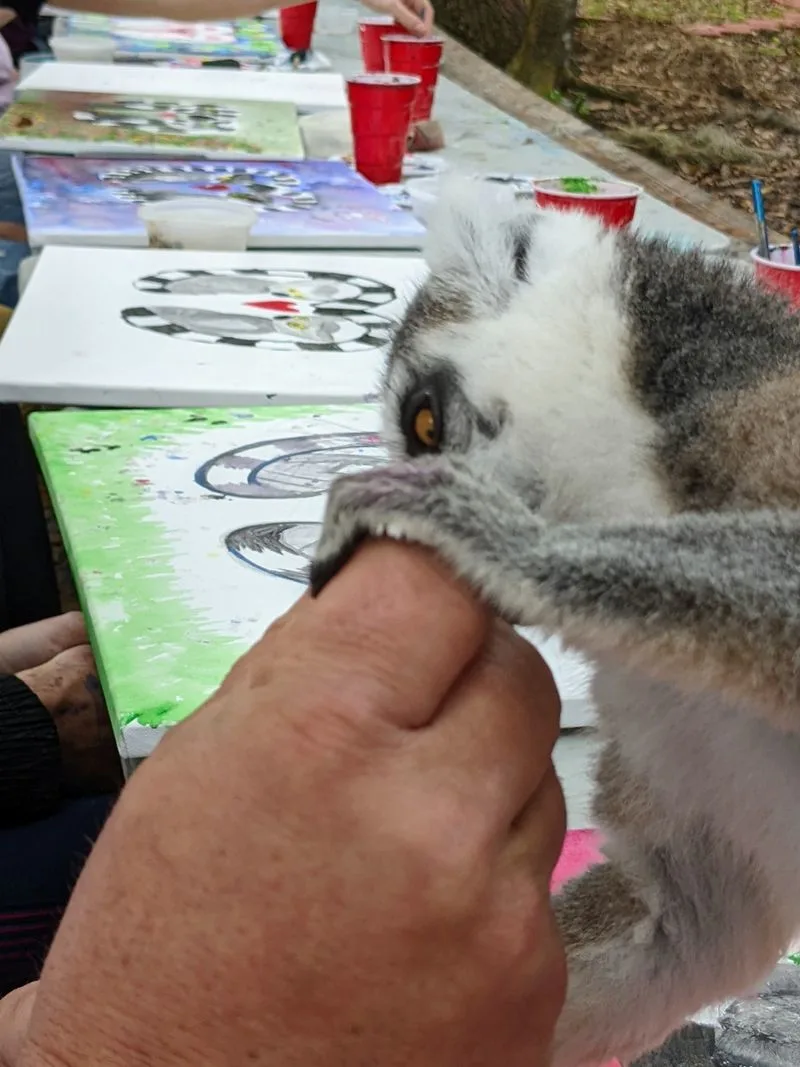 Painting With Lemurs Experience