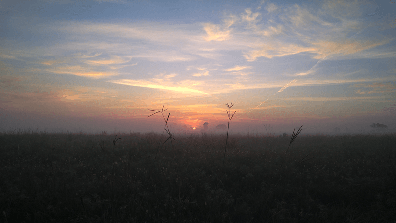 Sheyenne National Grassland