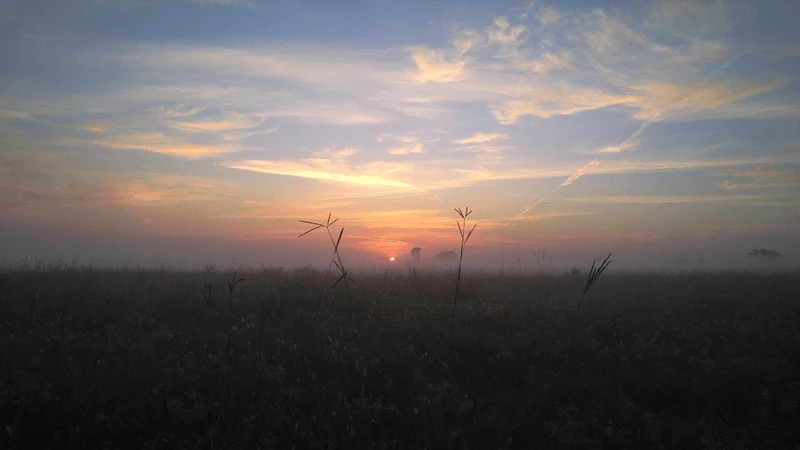 Sheyenne National Grassland