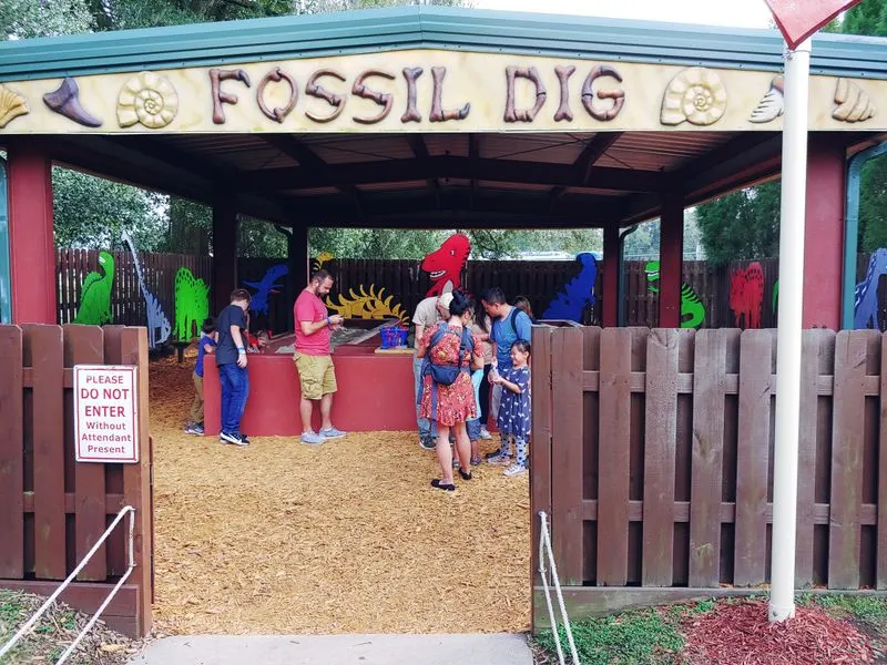 Fossil Dig: Hands-On Paleontology For Kids