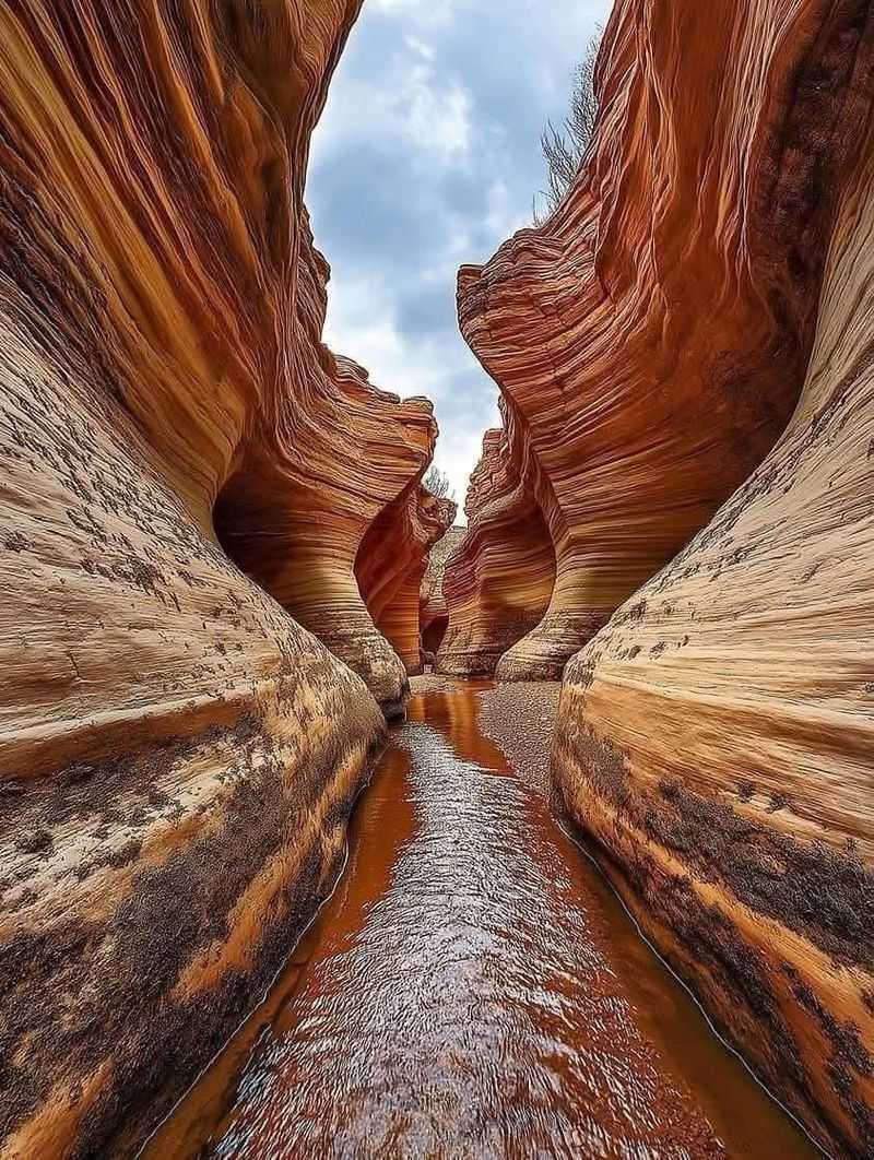 Willis Creek Narrows, Utah
