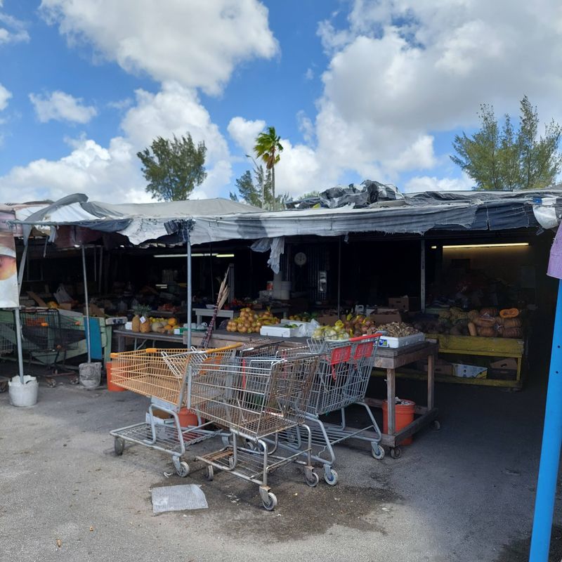 Seasonal And Weather Savvy Timing