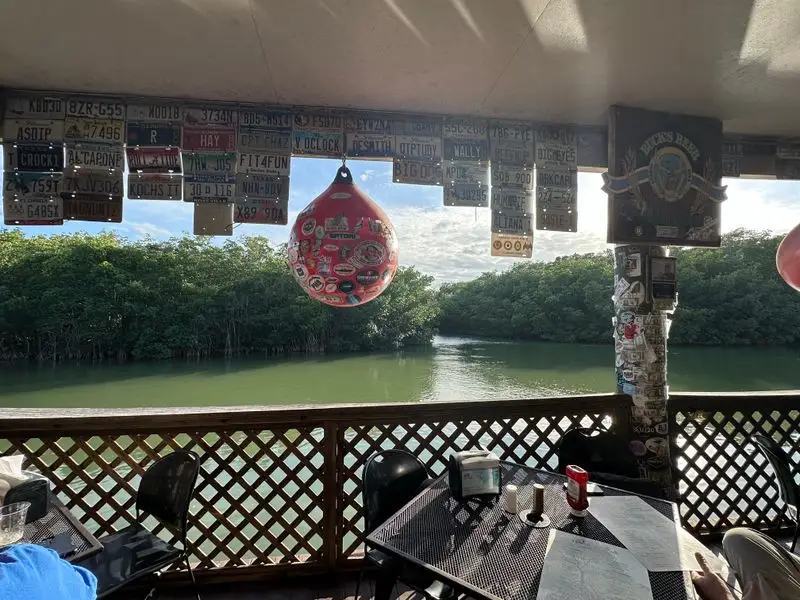 Canal Views and Manatee Moments