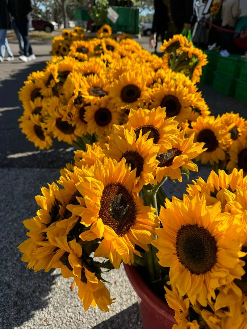 Artisans, flowers, and handcrafted finds