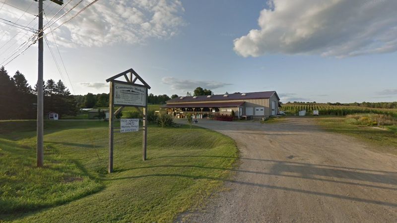 Outdoor And Work Gear: Belts, Boots, And Basics