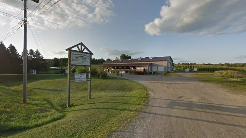 Outdoor And Work Gear: Belts, Boots, And Basics