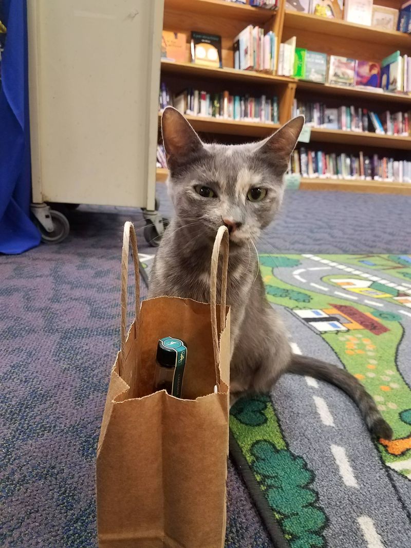 Practical info that keeps visits smooth